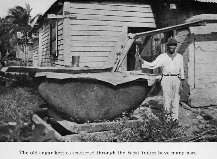 The old sugar kettles scattered through the West Indies have many uses.