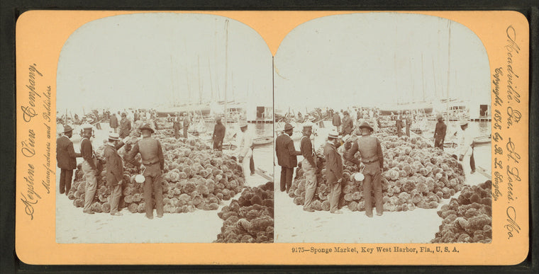 Sponge Market, Key West Harbor, Fla.