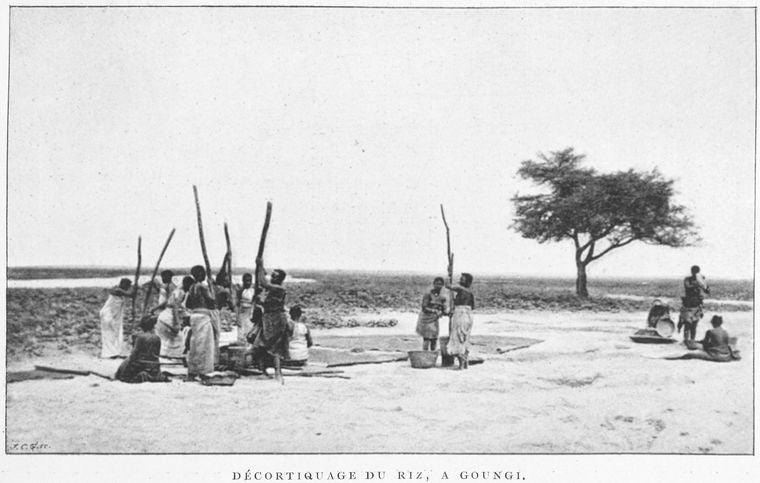 Décortiquage du riz, a Goungi.