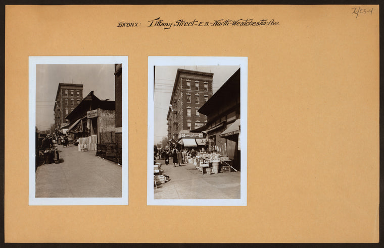 Bronx: Tiffany Street - Westchester Avenue