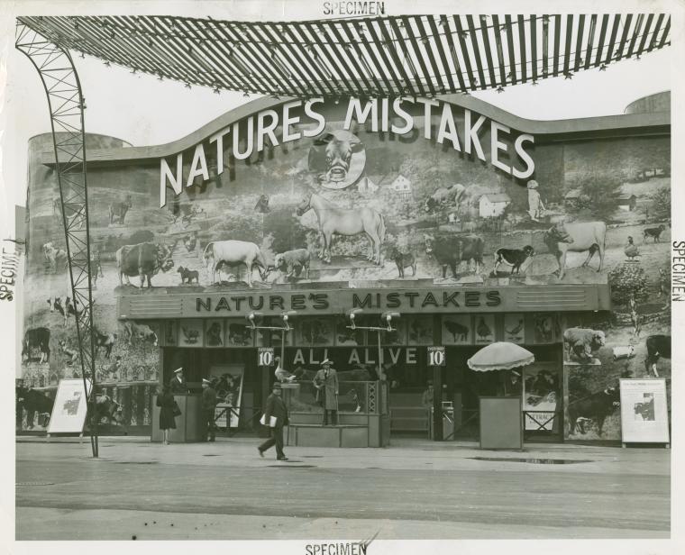 Amusements -Shows and Attractions - Nature's Mistakes