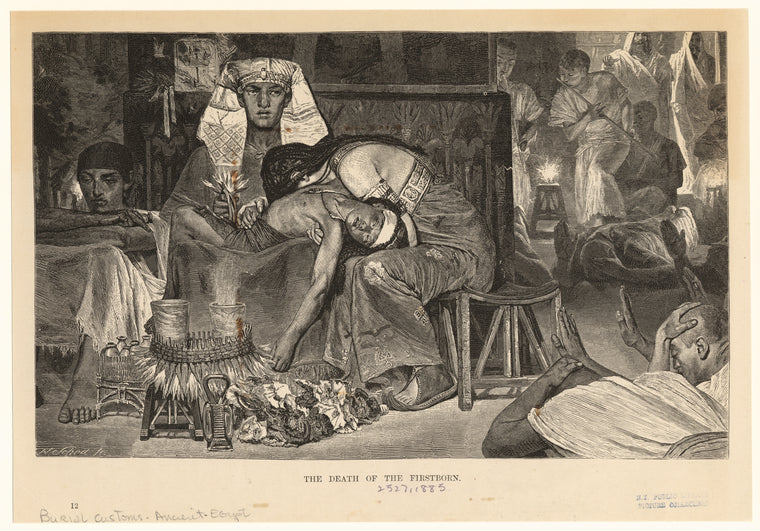 The death of the firstborn