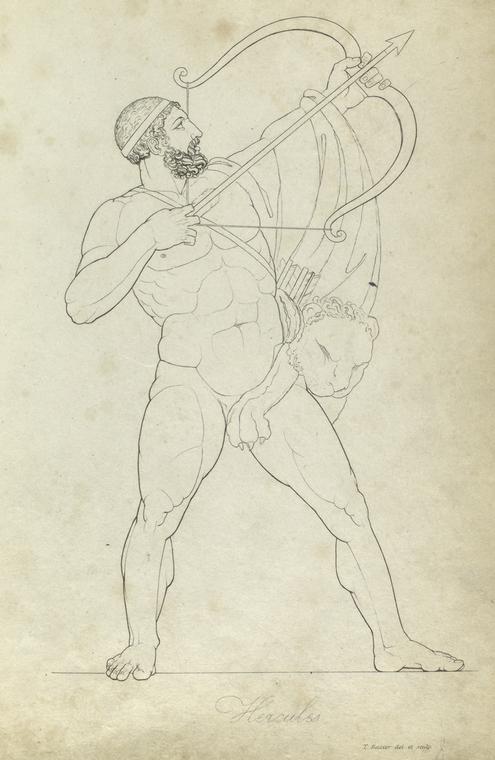 Hercules