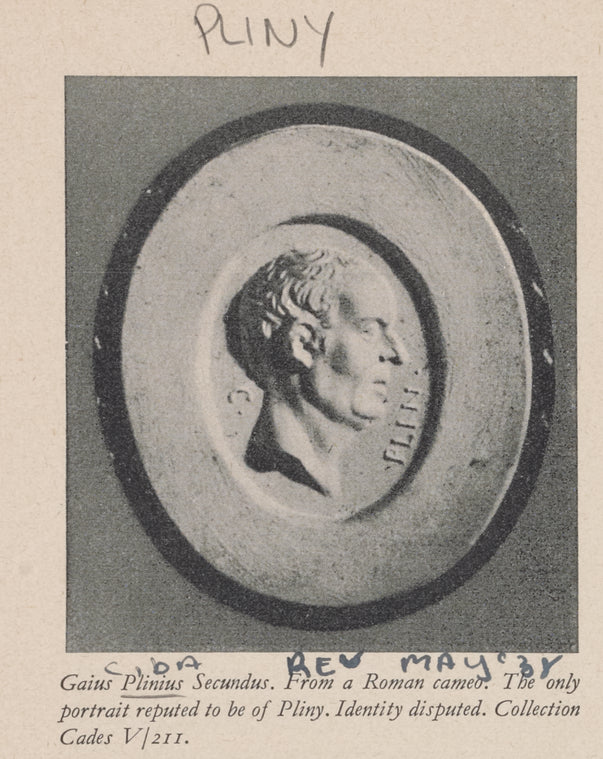 Pliny the Elder.