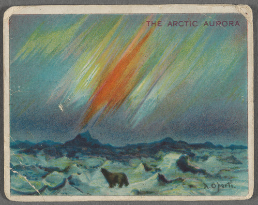 The Arctic Aurora