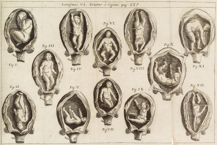 Iconismus VI. Ponatur è regione, pag. 557