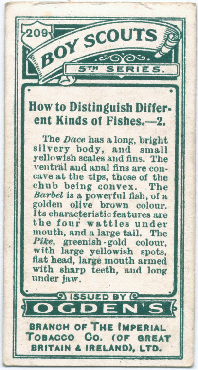 How to Distinguish Different Kinds of Fishes. - 2.