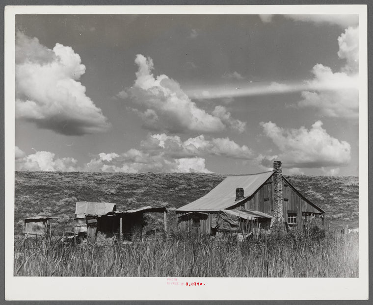 Negro tenant's home beside the Mississippi levee near Lake Providence, Louisiana