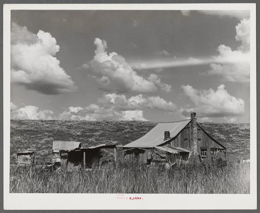 Negro tenant's home beside the Mississippi levee near Lake Providence, Louisiana