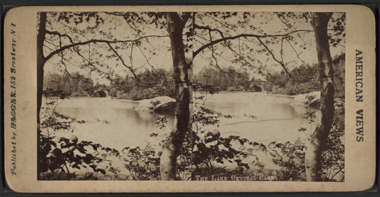 The lake, Central Park.