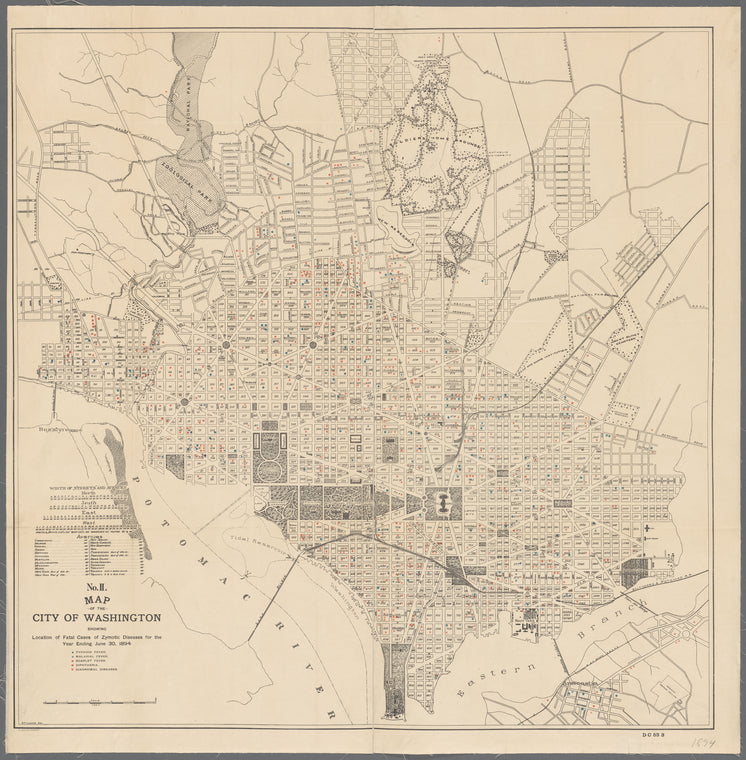 Map of the city of Washington showing location of fatal cases of zymotic diseases for the year ending June 30, 1894