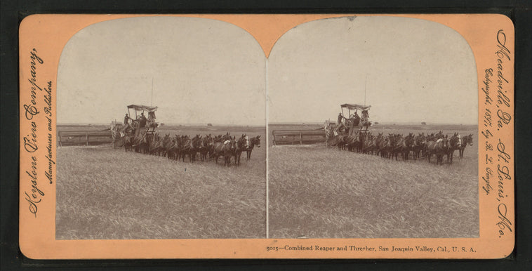 Combined reaper and thrasher, San Joaquin Valley, Cal., U.S.A.