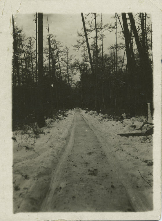 Frozen road