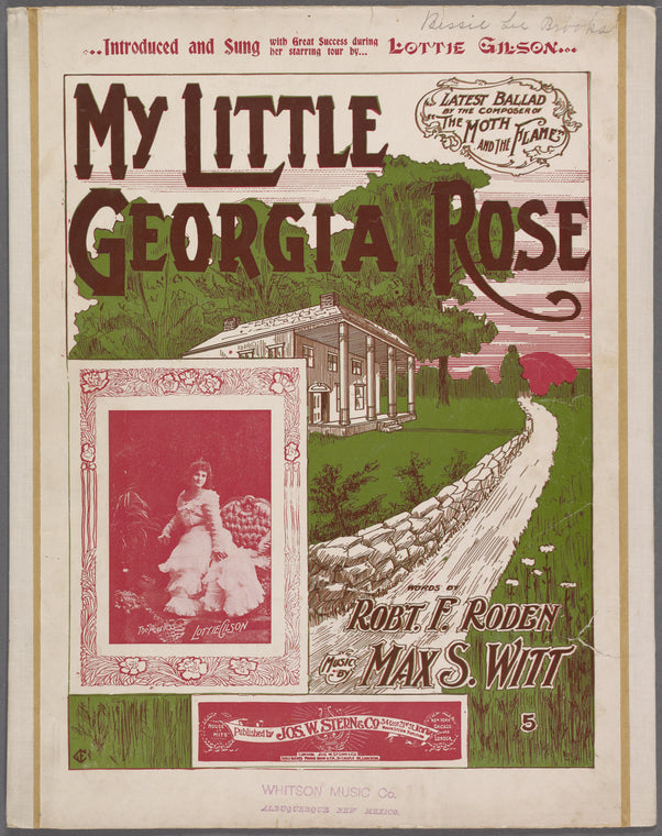 My little Georgia rose