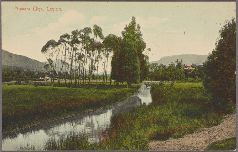 Nuwara Eliya, Ceylon.