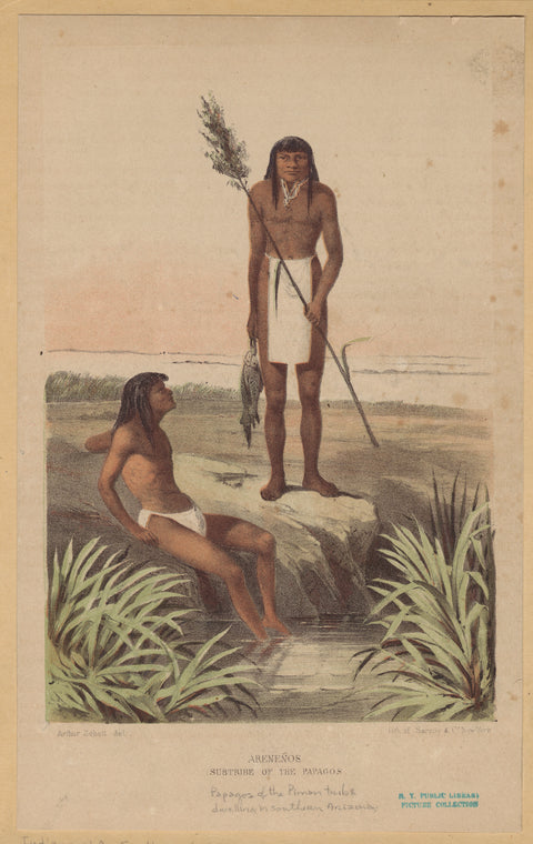 Areneños, subtribe of the Papagos