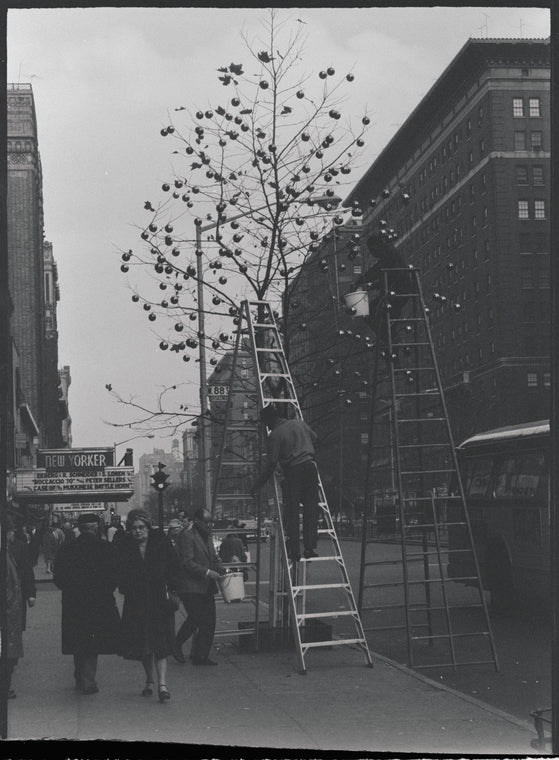 New York, NY