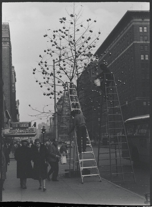 New York, NY