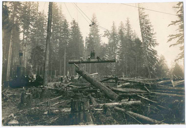 Steam Skidder Hoisting a Log.