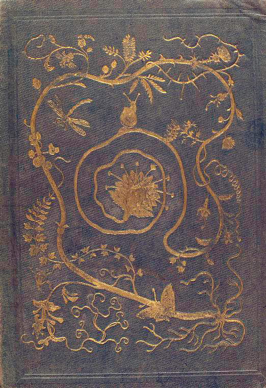Les fleurs animées