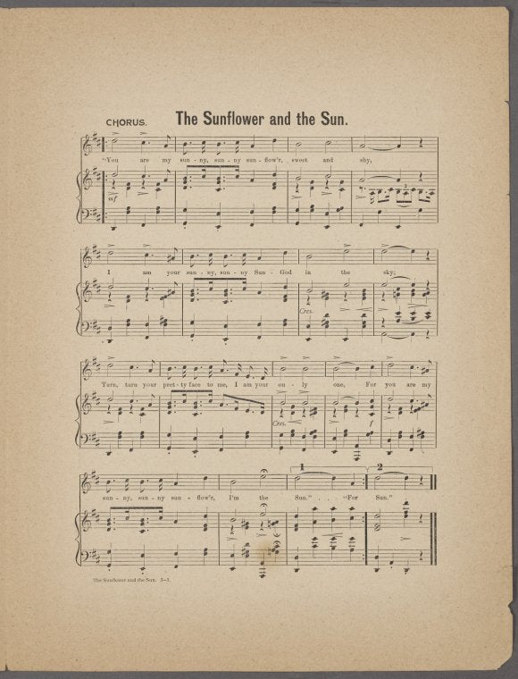 The sunflower and the sun