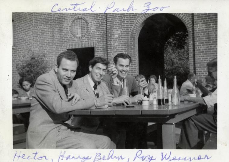 Hector, Harry and Roy at Central Park Zoo