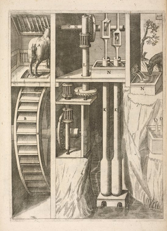 Fig. CVII. Antlia duplex, cum pateotrocho.