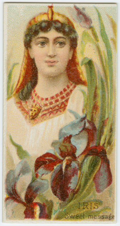 Iris, sweet message.