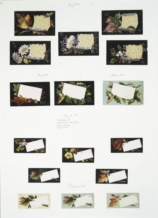 Birthday, Christmas and New Year cards with botanical illustrations.