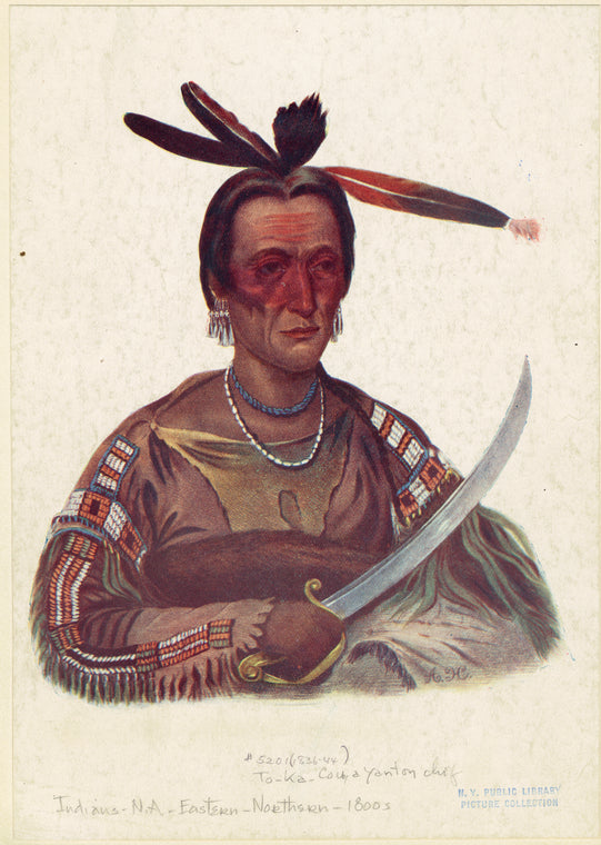 To-Ka-Con, Yanton chif (i.e. Yankton chief)