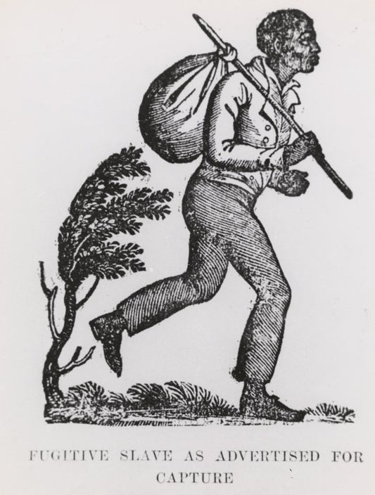 Fugitive slave as advertised for capture