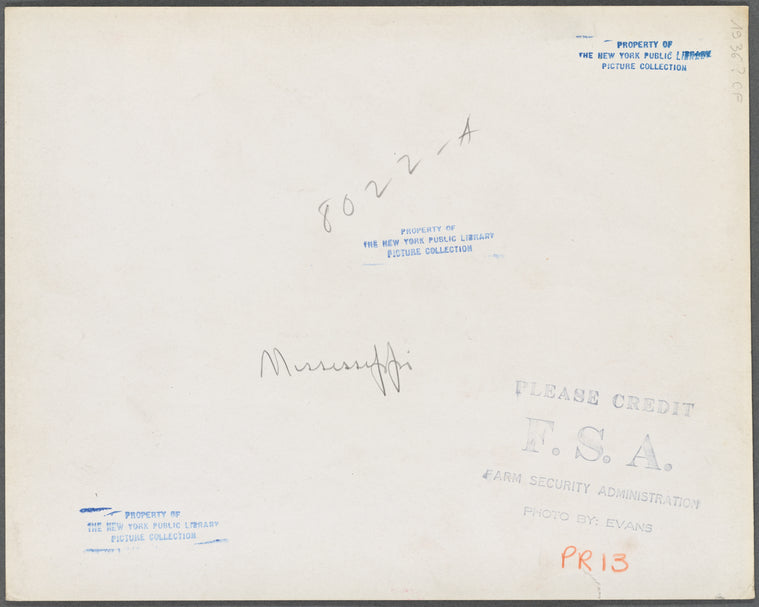Near Tupelo, Mississippi. Negro farming