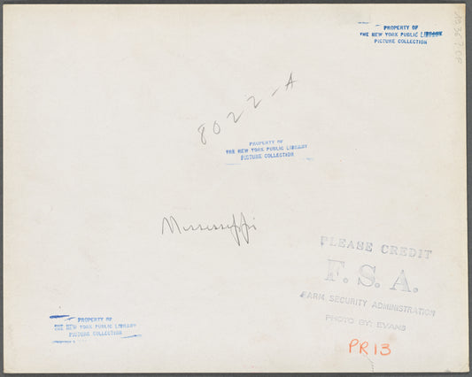 Near Tupelo, Mississippi. Negro farming