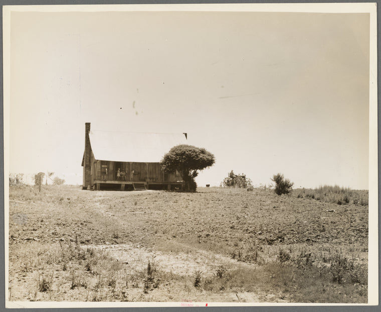 White sharecropper's home. He drives tractors for his present landlord for seventy-five cents a day near Cleveland, Mississippi