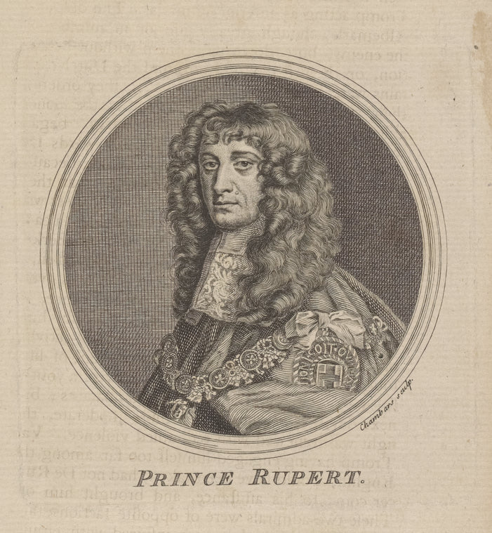 Prince Rupert