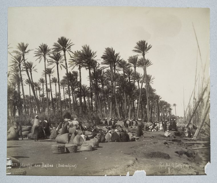 Marché des dattes (Bédrechine)