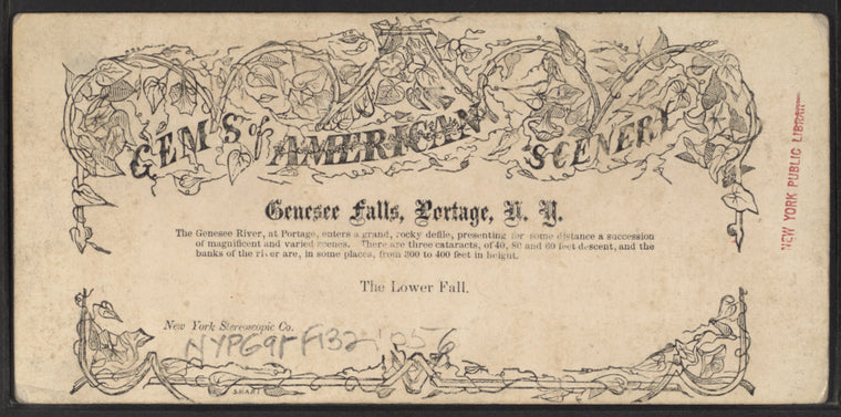 The Lower Fall.
