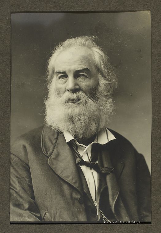 Portrait of Walt Whitman, 1872