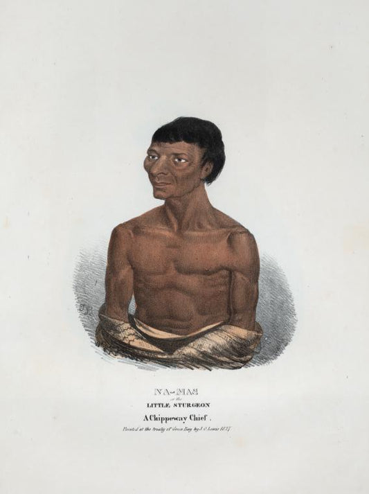 Na-mas or the Little Sturgeon, a Chippeway Chief.