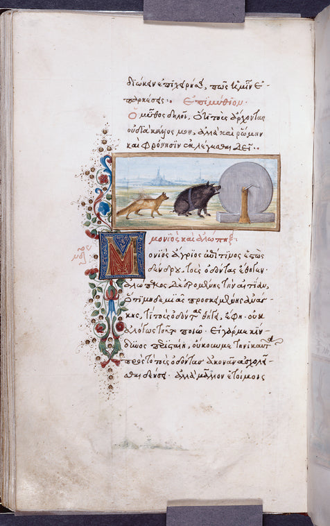 The peacock and the jackdaw [cont.]; The wild boar and the fox.