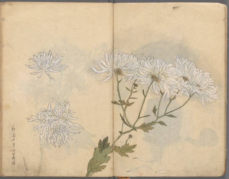 Sketchbook