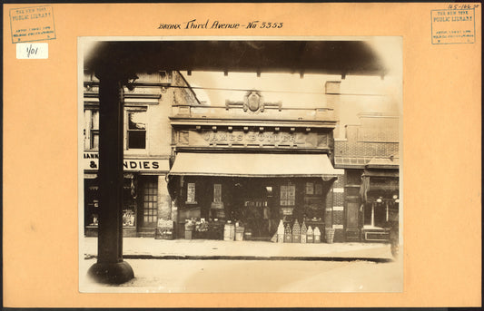 Bronx: 3rd Avenue - 165th Street (East)