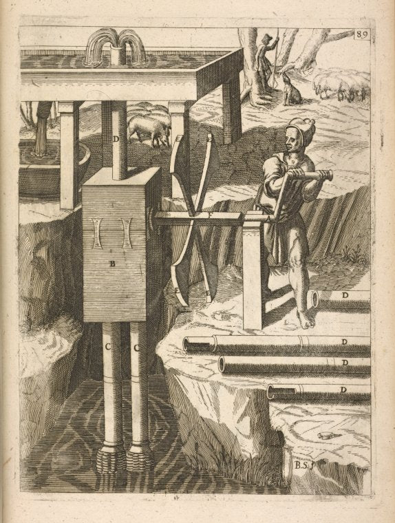 Fig. XXCIX. Antlergon, duplex.