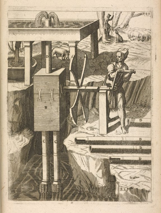 Fig. XXCIX. Antlergon, duplex.