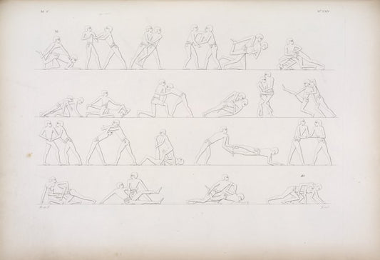 Esercizi ginnastici dei militari.