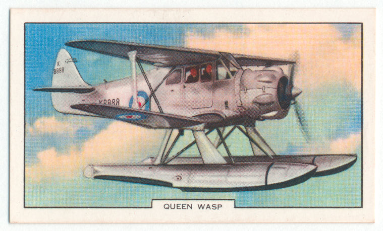 Queen Wasp.