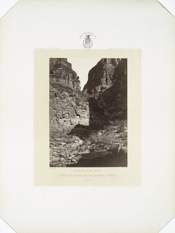 Cañon of Kanab Wash, looking north.