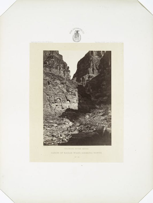 Cañon of Kanab Wash, looking north.