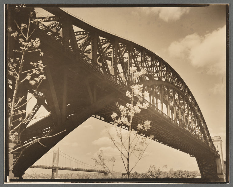 Hell Gate Bridge: I, Central Steel Arch over East River looking toward west from Astoria Park, Queens