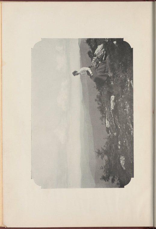Ellen: or, Whisperings of an old pine